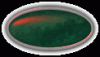 collection de bouton 04 - blank